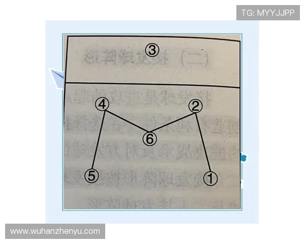 北京排球队在联赛中的速度表现分析与战术探讨